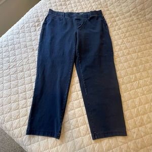 Lands’ End 2X (20W-22W) Women's Plus Size Starfish Elastic Waist Knit Jeans